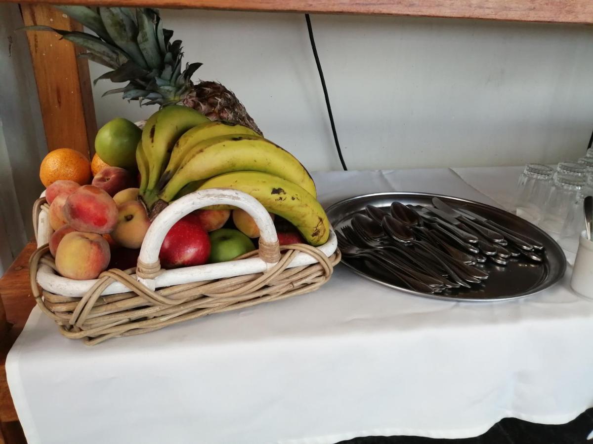 Casa Alevines Hostel & Suites 埃斯特角城 外观 照片